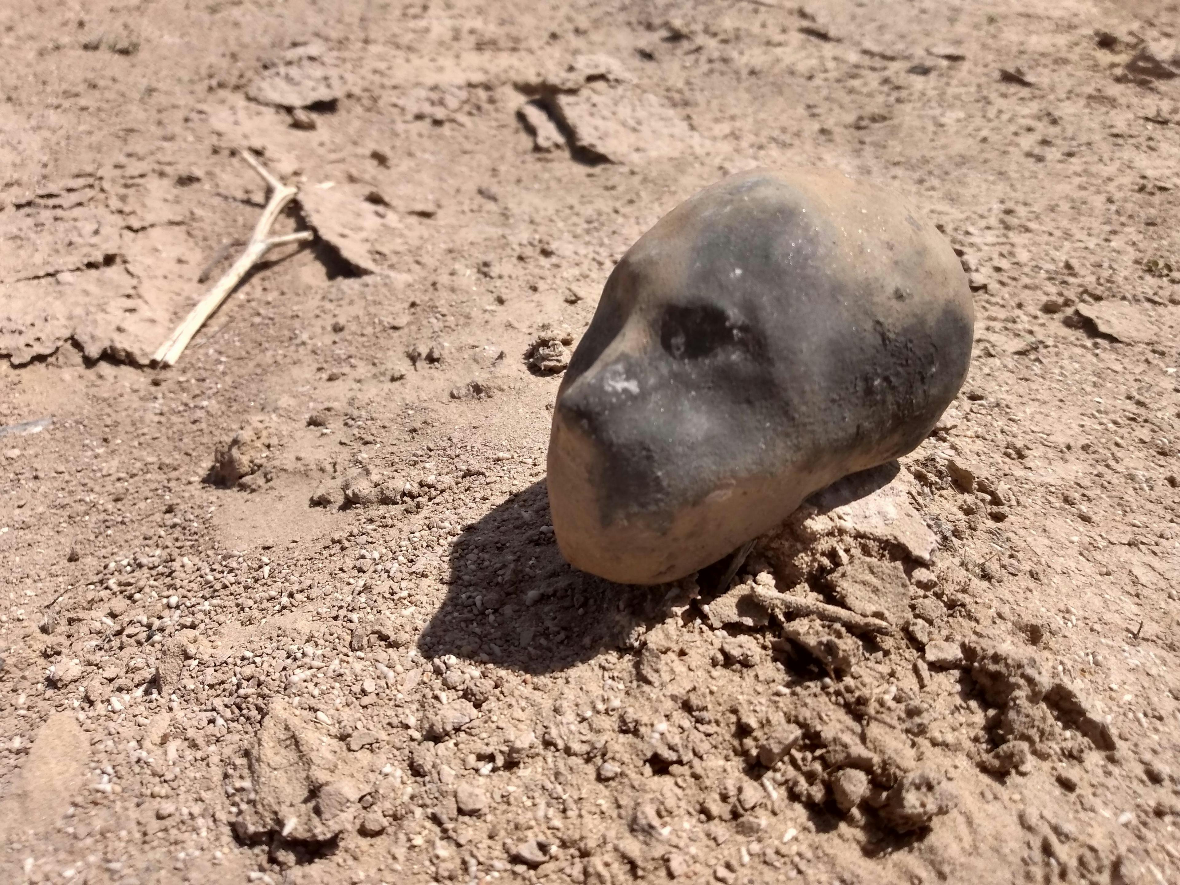 The first Little Martian, dug from the ground