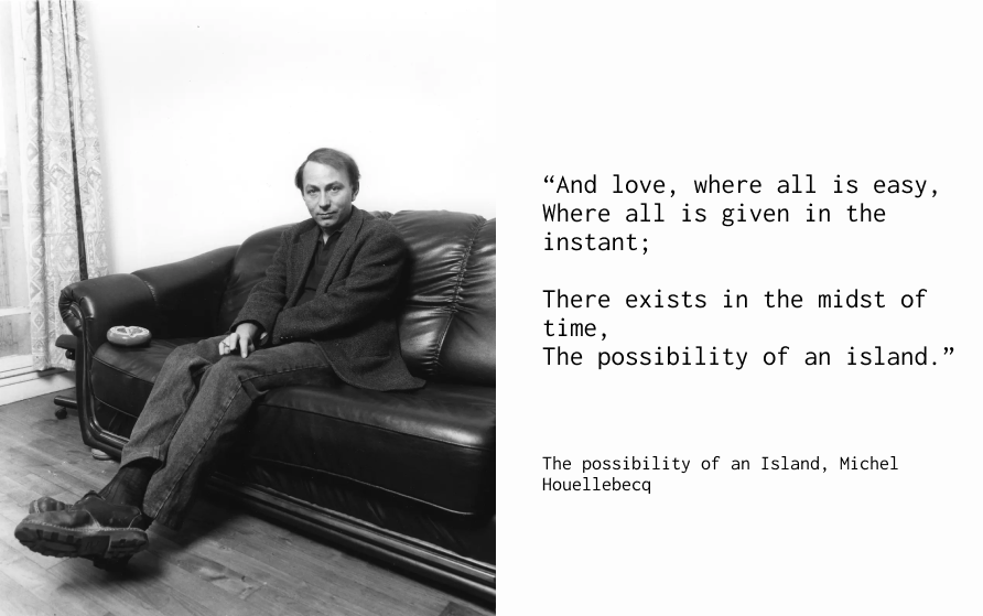 Before becoming a worldwide success for his work in poetry and literature, Michel Houellebecq was an unknown computer scientist. Thanks to this previous occupation, Michel Houellebecq has original thoughts on technology and its relation to human beings. 