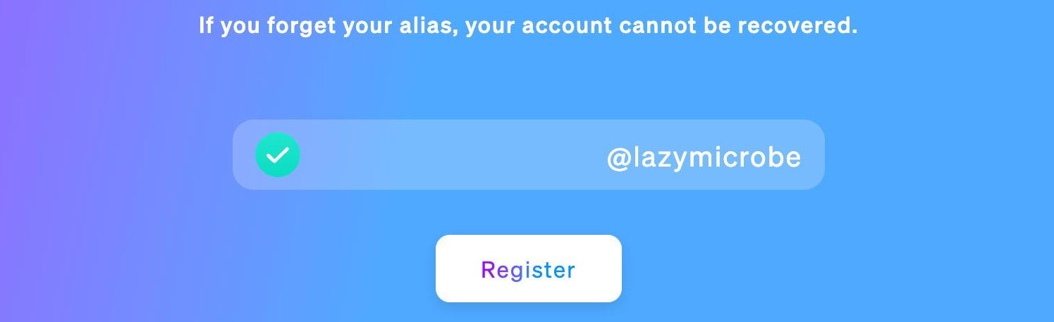Choose an alias for your account. Think of it as a zk.money-specific account identifier. Note it down and keep it safe!