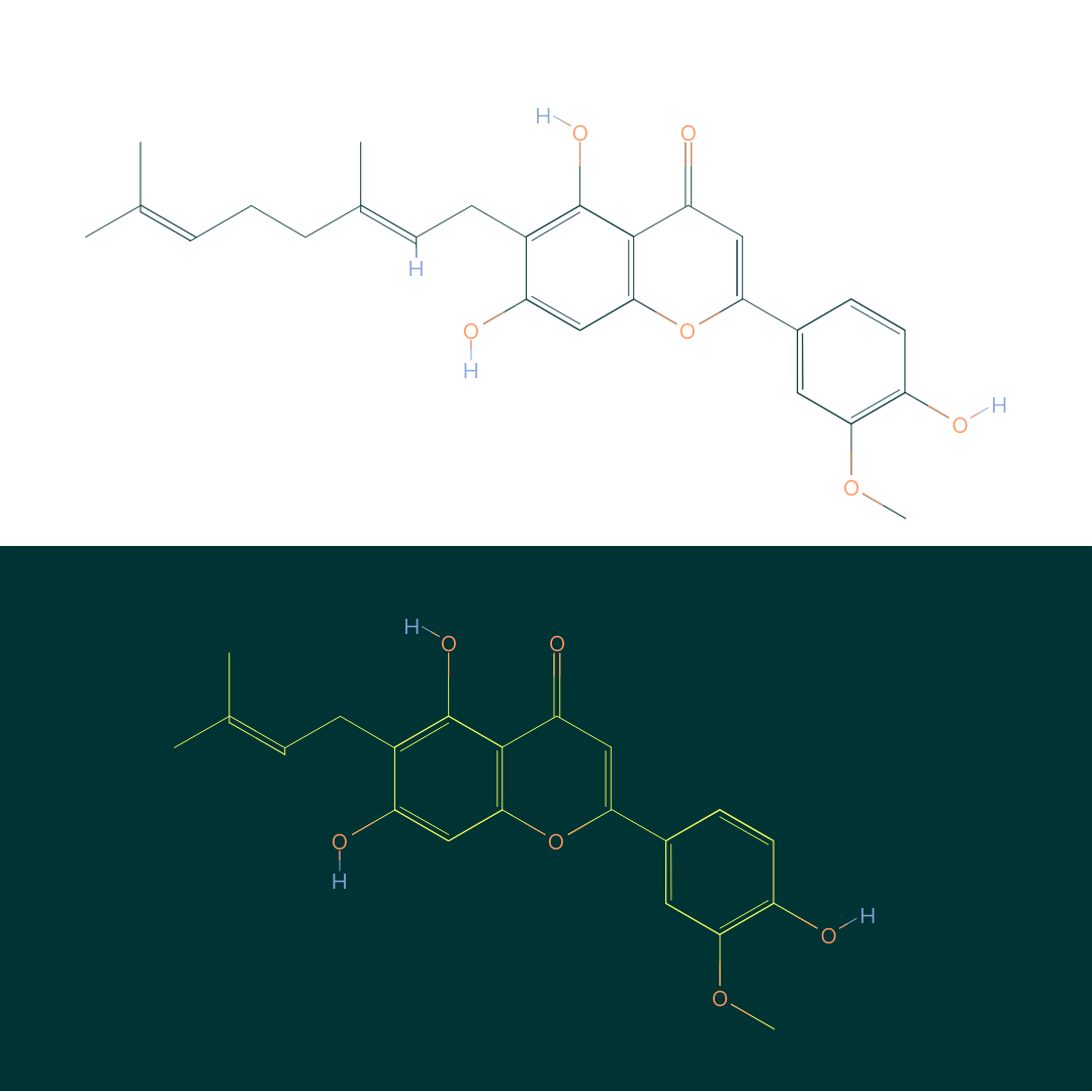 Cannflavin A (Top) & Cannflavin B (Bottom)