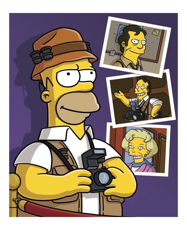 Homer Simpsons in Homerazzi, Episode 16, Season 18