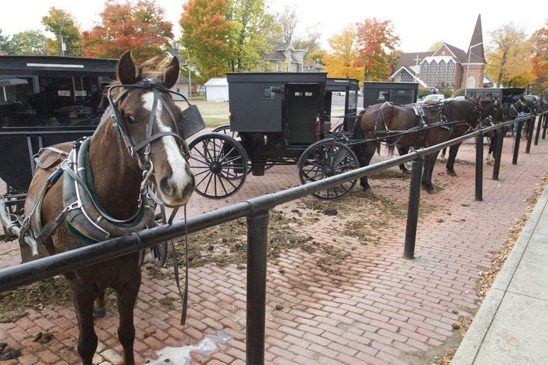 https://www.greensburgdailynews.com/news/messy-issue-of-horse-manure-divides-amish-neighbors/article_bfc694bd-7107-55ab-8f1c-132d194c1f2e.html