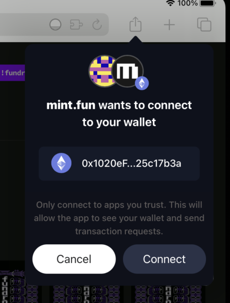 Connecting to mint.fun using Dawn on an iPad