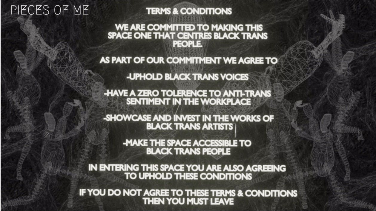 "TERMS AND CONDITIONS" 2021, by Danielle Brathwaite-Shirley