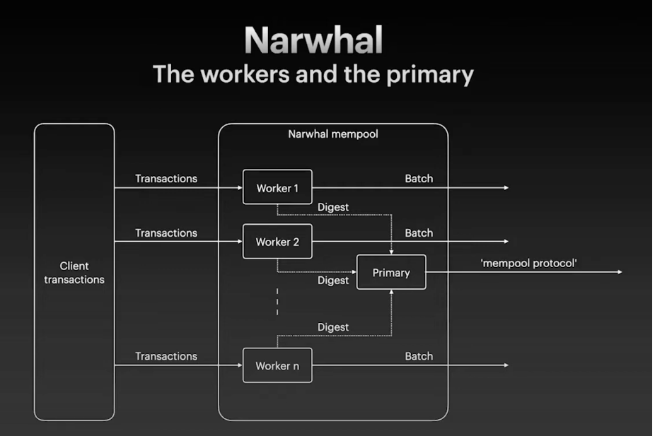 Figure 4 shows the responsibilities of workers and a primary of each validator (source: https://www.youtube.com/watch?v=K5ph4-7vvHk)