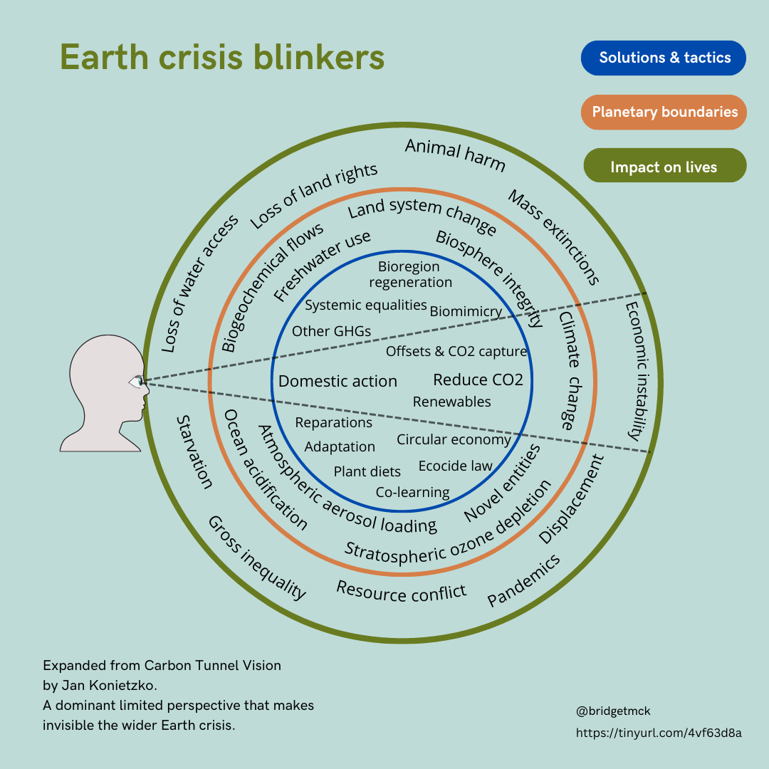 Non-carbon assets are needed in order to escape the carbon tunnel vision. Source: Earth Crisis Blinkers Graphic by Bridget McKenzie, used under a fair use rationale. 