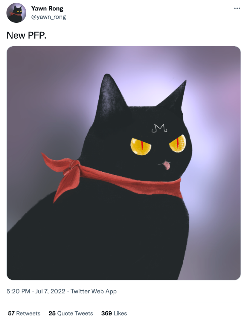 StepN联合创始人Yawn改用黑猫头像