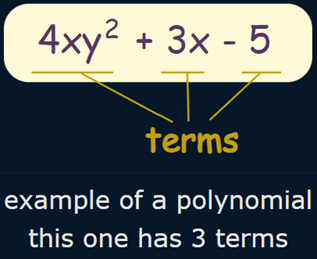 Polynomials are math expressions with “many terms.” 