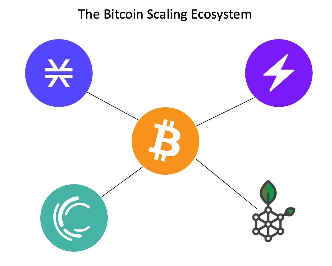 Figure 8: The four major players in Bitcoin scaling are Stacks, Lightning, Liquid, and RSK. 