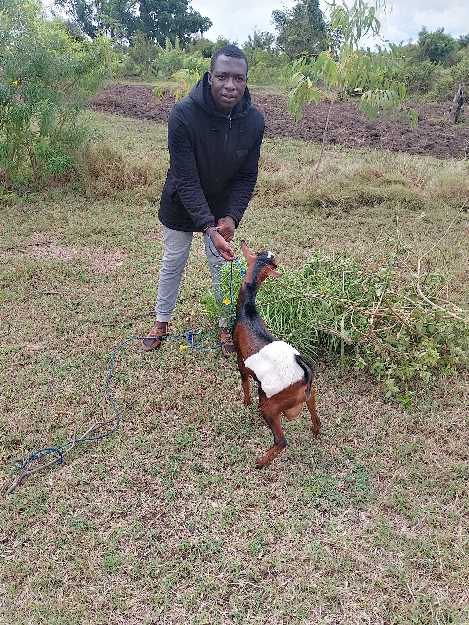 Source: Richard Opany pictured with one of his goats, as shared on X with the caption "The goats are well everyone"