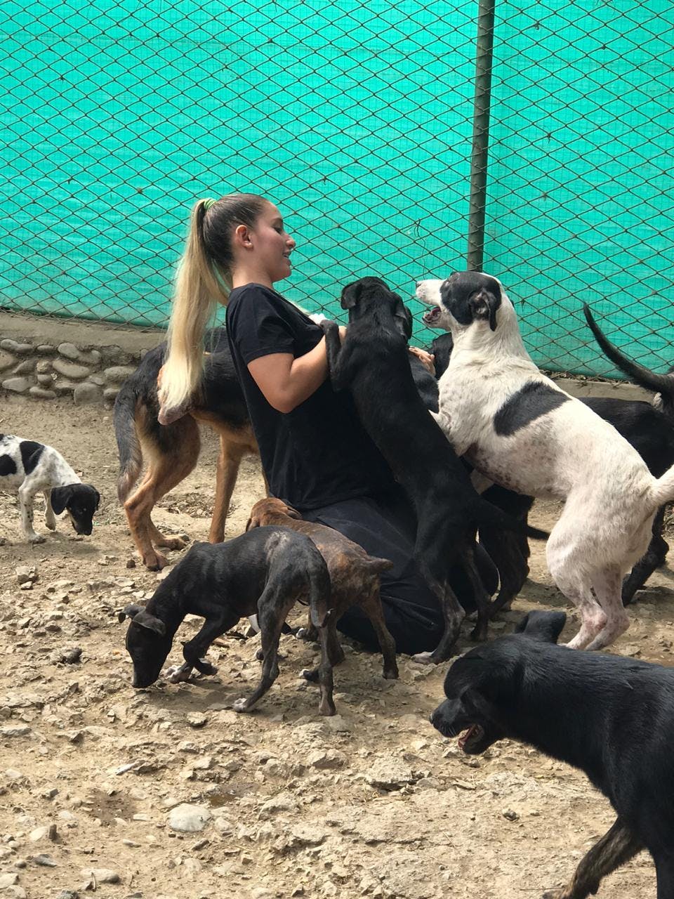Me greeting some dogs from the foundation - 2019