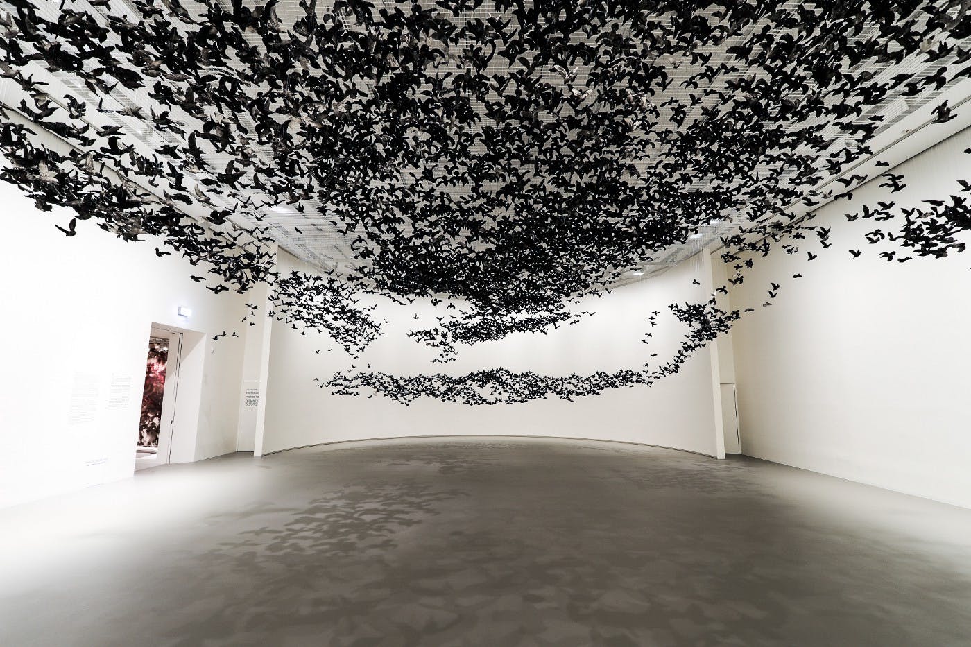 《鸟云》于维多利亚州国立美术馆展览现场, 2019, 摄影:Tobias Titz