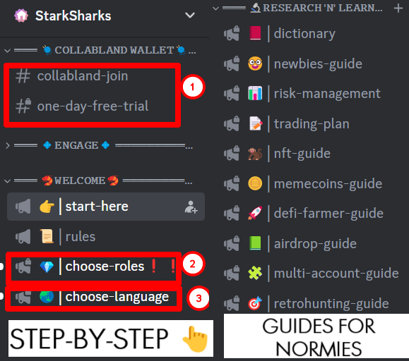 Select address Solana wallet on which you hold tokens $SHARK or NFT StarkSharks or  try free trial for one day