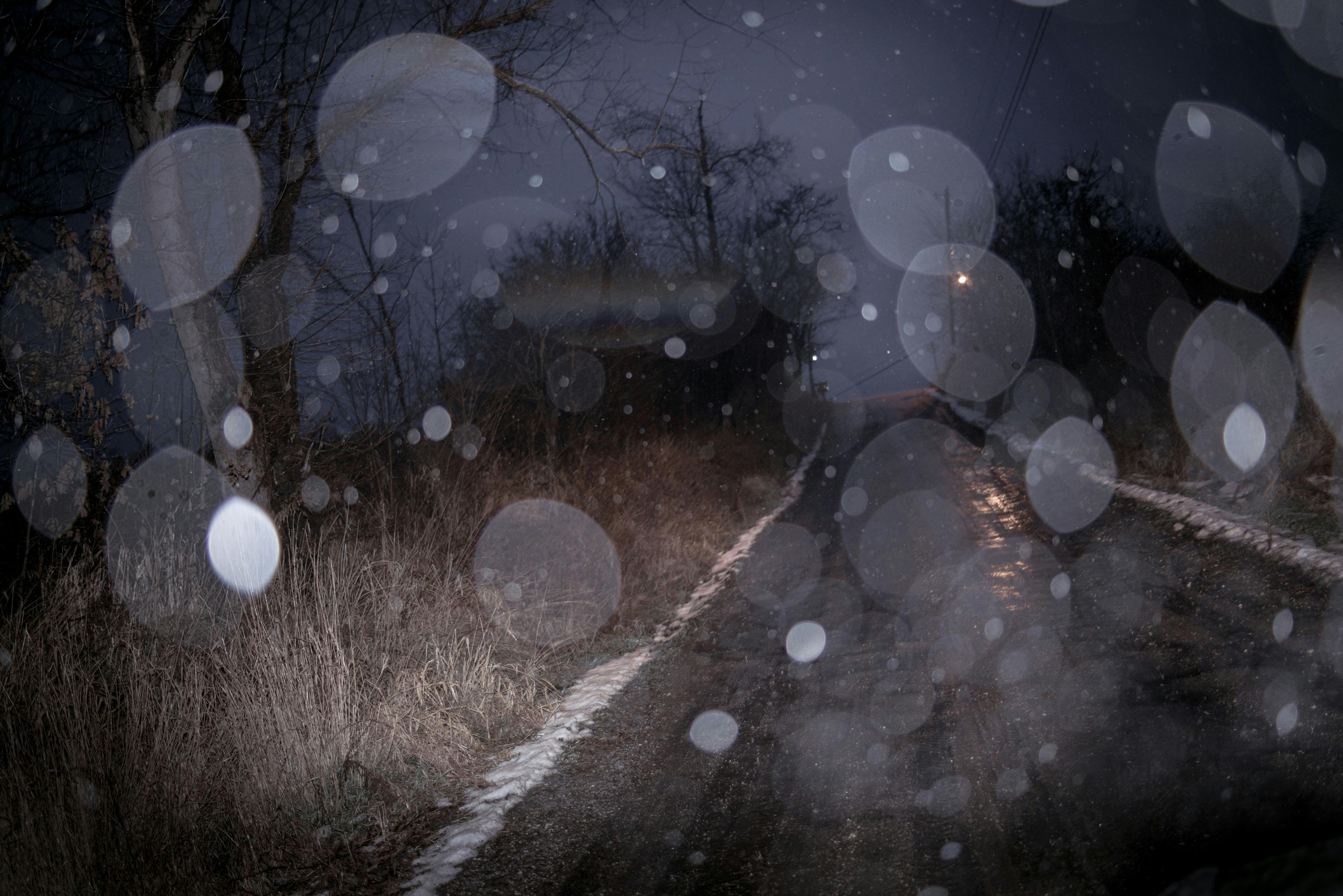 The Black Mechanism #5 by Todd Hido, Obscura Curated Commission.