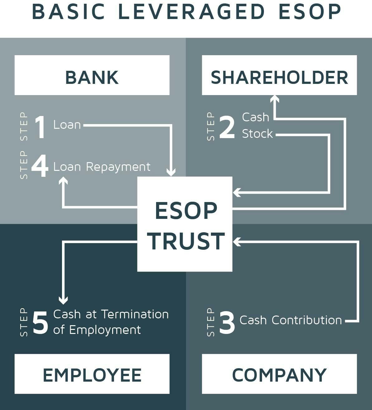 A basic model for how most ESOPs work.